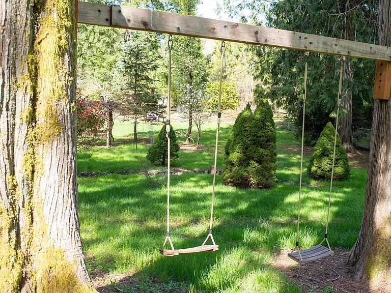 Backyard swings