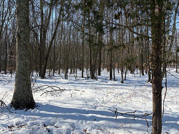 2nd image of 6149 Belfast Rd