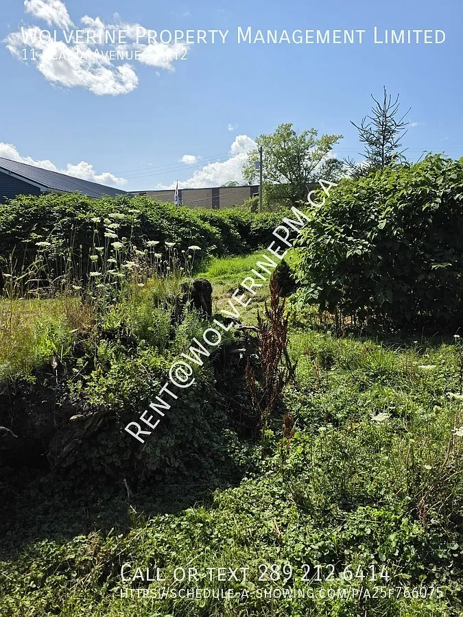 1 bed, $1,295 — Photo 3