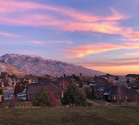 Back Yard View