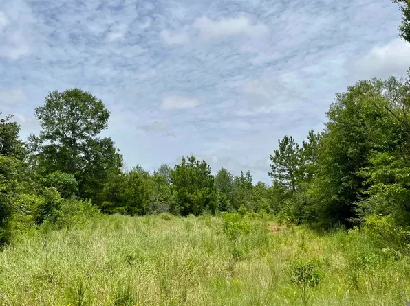 20 Highway 960, Clinton, LA 70722