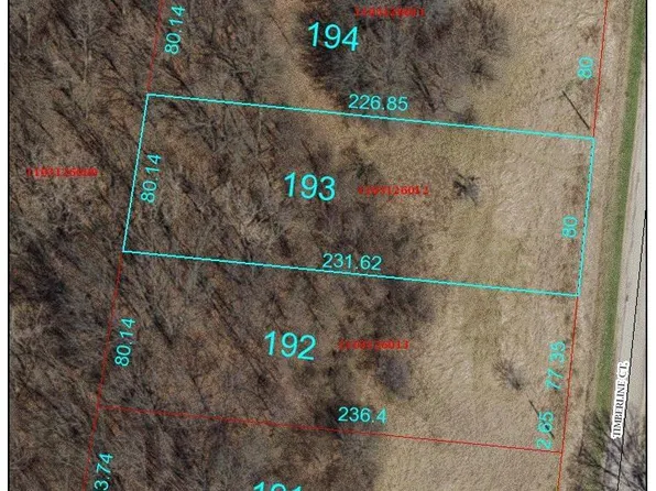 193 Timberline Ct, Dahinda, IL 61428