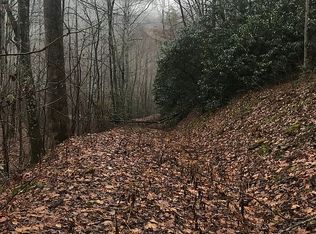 9999 Saw Branch Rd, Candler, NC 28715