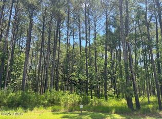177 Bridle Path Blvd, Hardeeville, SC 29927