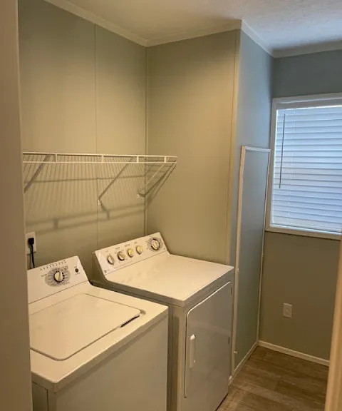 3862 Blueberry Ln — Photo 12