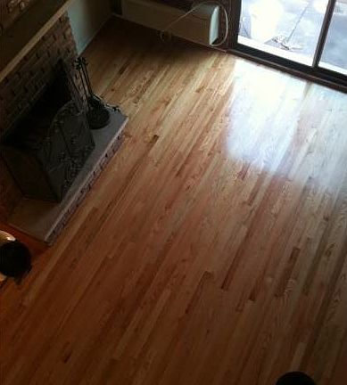 2nd image of 2233 N Lincoln Ave APT 4