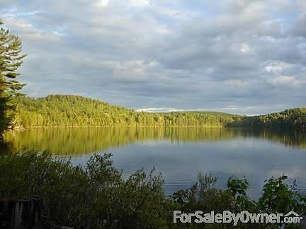 View from Pine Cone Cabin