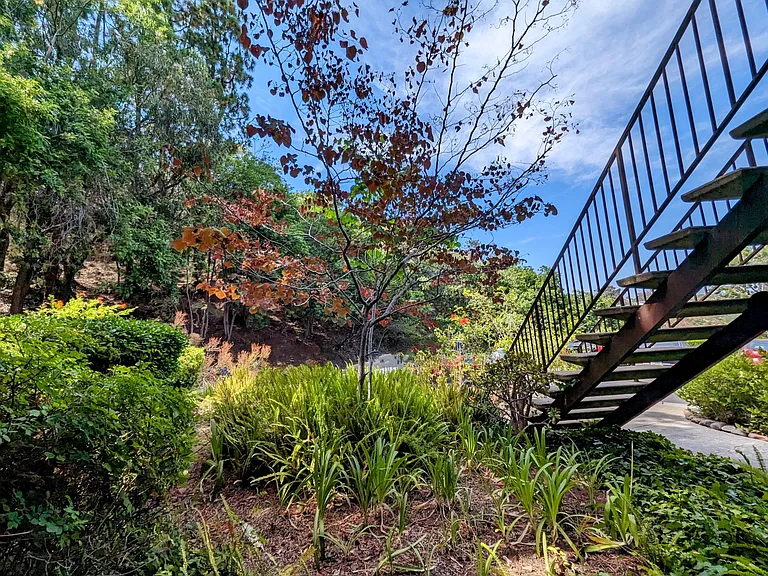 Front landscaping