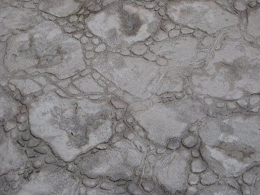 Stamped Concrete Backyard