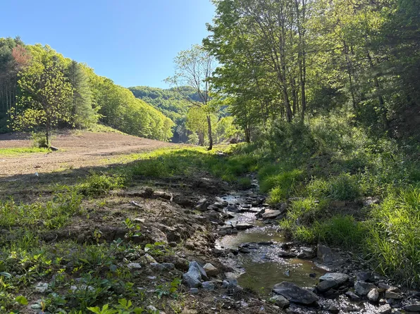 Suck Creek Rd, Jumping Branch, WV 25969