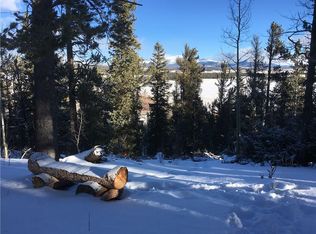 2029 High Creek Rd, Fairplay, CO 80440