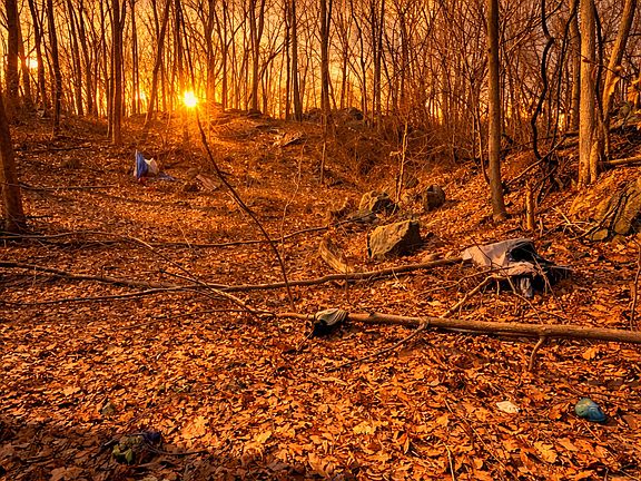 2nd image of Seventh Street