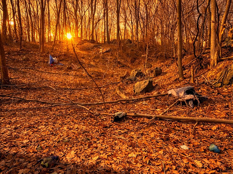 2nd image of Seventh Street