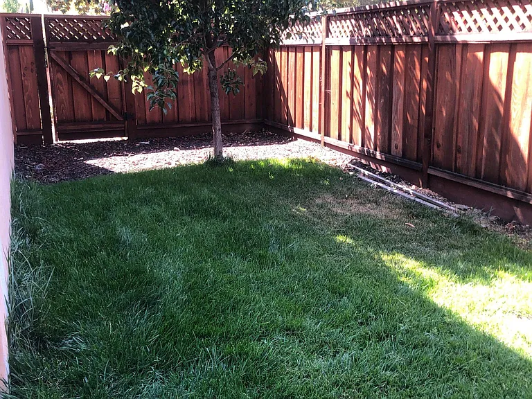 113 Sierra Dr — Photo 11