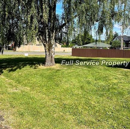 Front yard with Wheeping willow _06032021