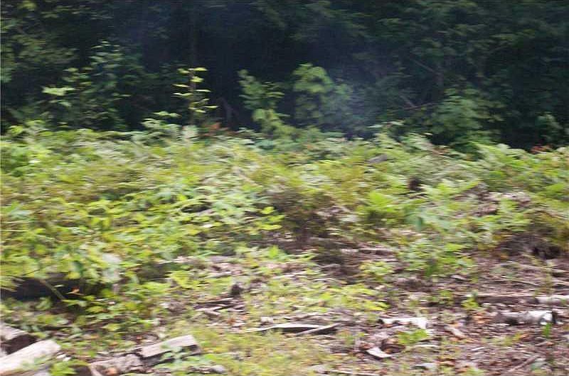 2nd image of 0 Johnson Cove Road