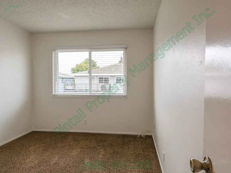 4771 Capay Dr #4 — Photo 11