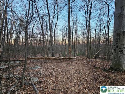 8313 Sacks Dr, New Tripoli, PA, 18066