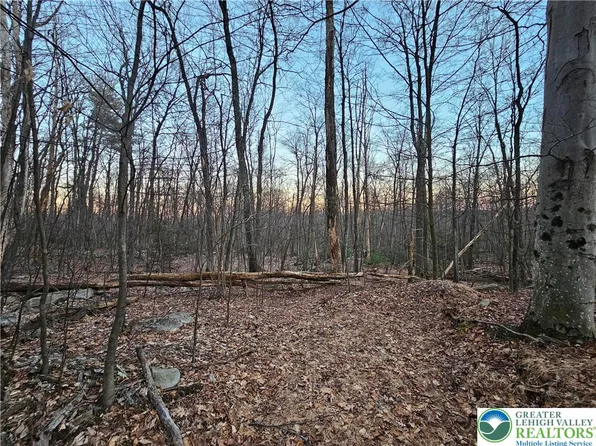 8313 Sacks Dr, New Tripoli, PA 18066