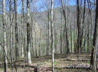 7B Chestnut Flats Rd #7B, Waynesville, NC 28786