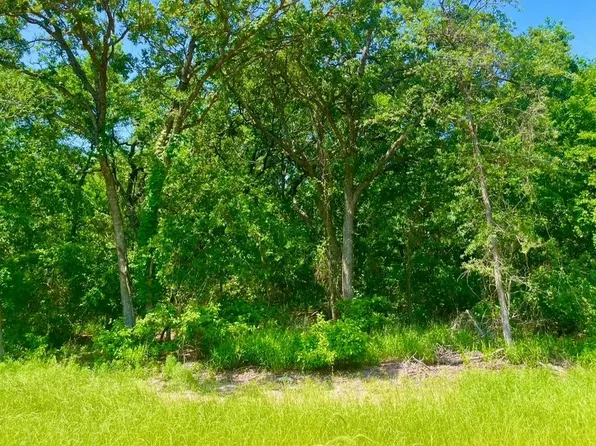 LOT 48 Antrim Ct, Poolville, TX 76487