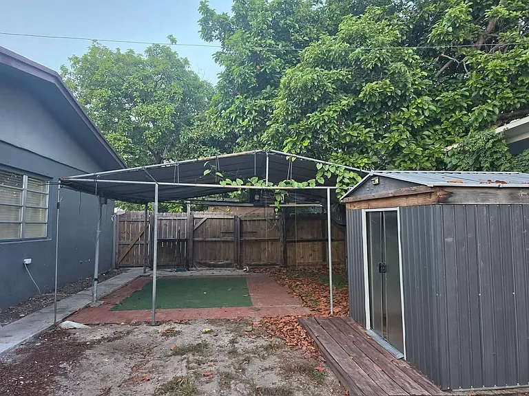 Backyard