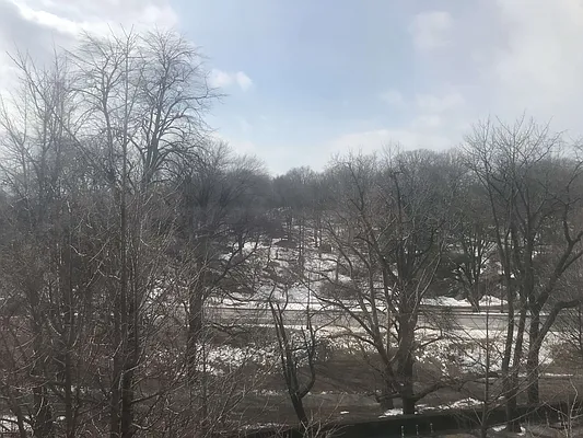 Rented by Sandra Ospina, Licensed Real Estate Broker | media 35