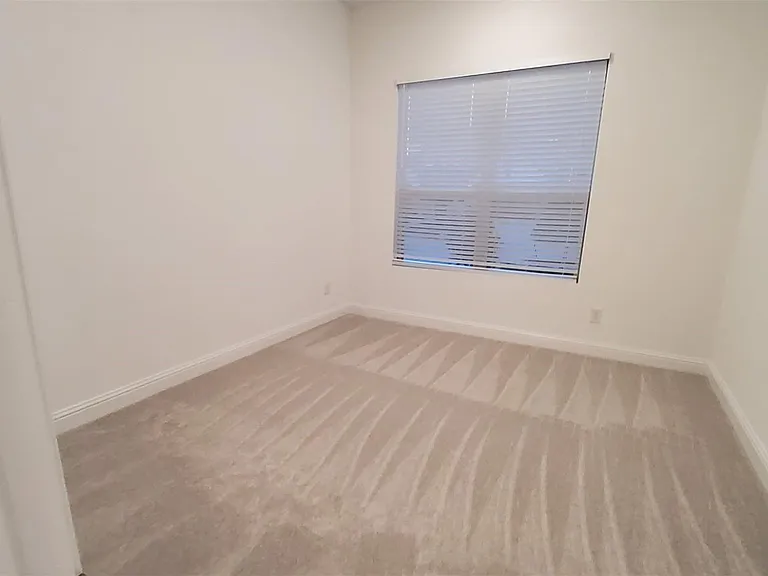30607 Bahia Oak Bnd — Photo 37