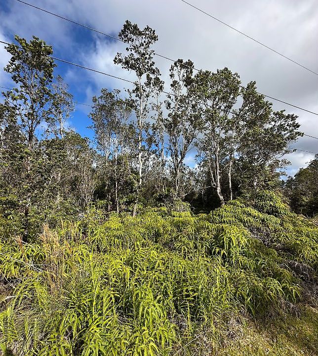2nd image of Mokuna St Lot 2068