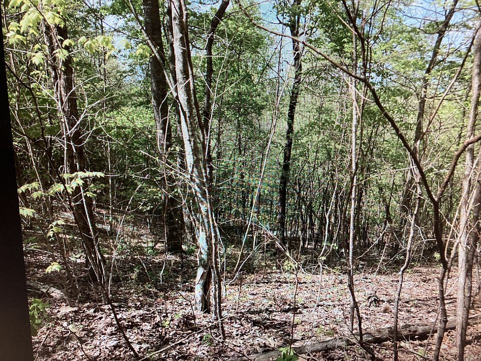 2nd image of 0 Lemont & Yates Mountain Rd
