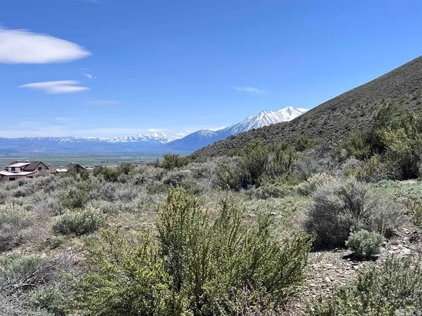 292 James Canyon Loop, Genoa, NV 89411