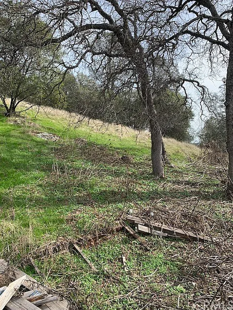 5225 Alta Vista Rd photo 1