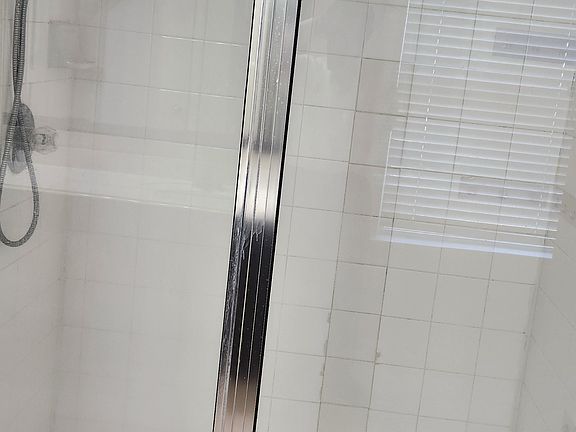 Master Bathroom Shower