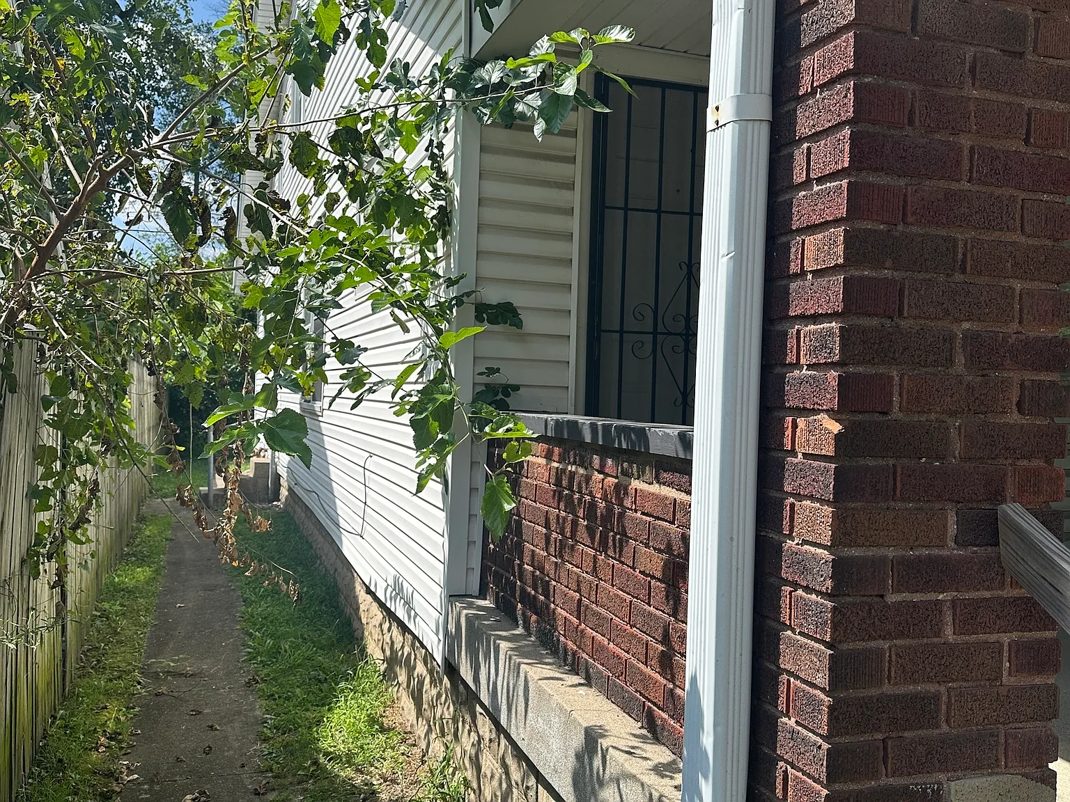 2 bed, 1.0 bath, 1750 sqft, $949 — Photo 4