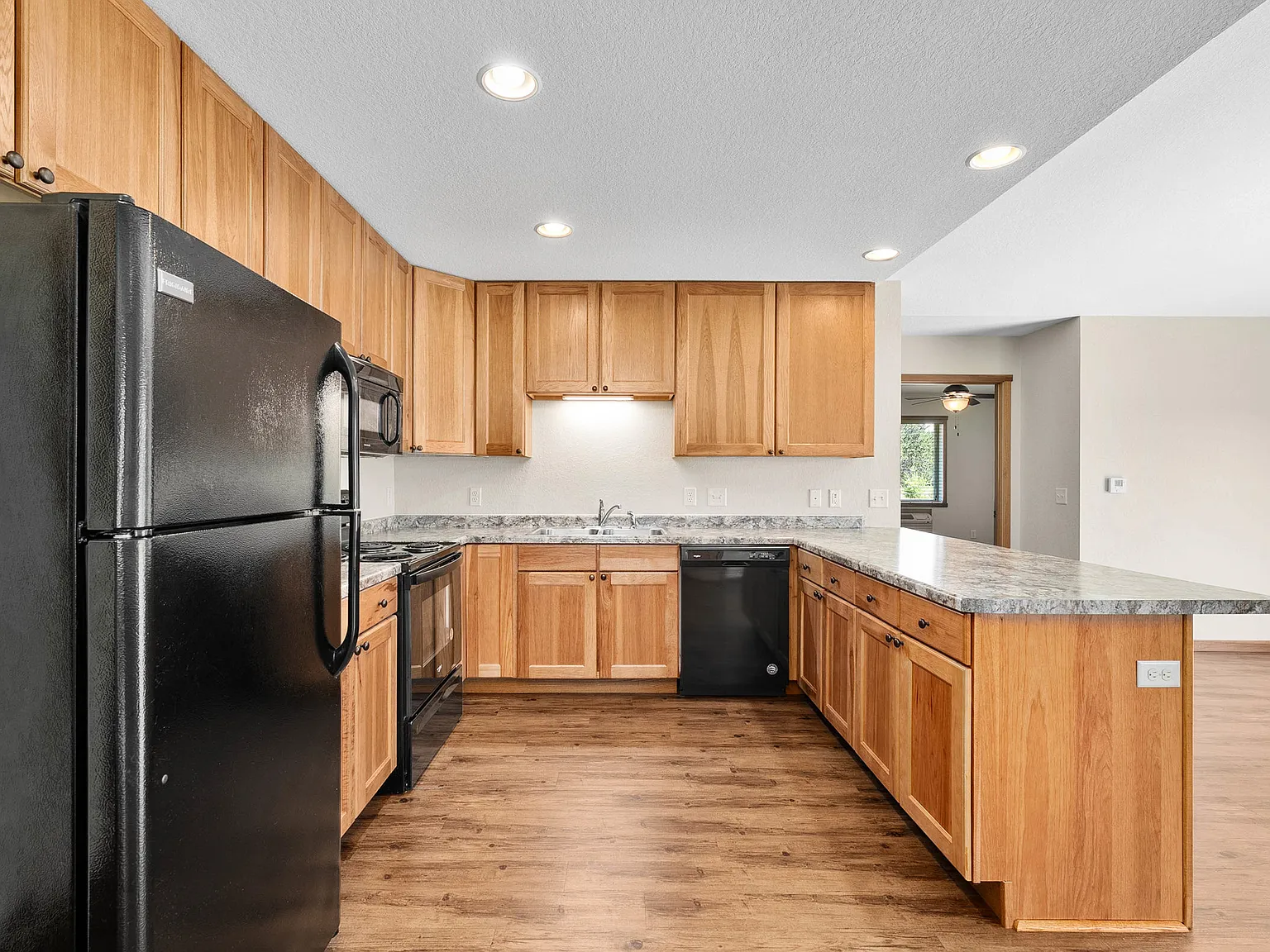 2 bed, 1100 sqft, $1,300 — Photo 3