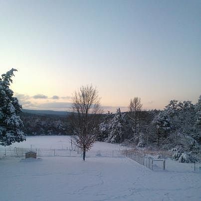 winter view from the house