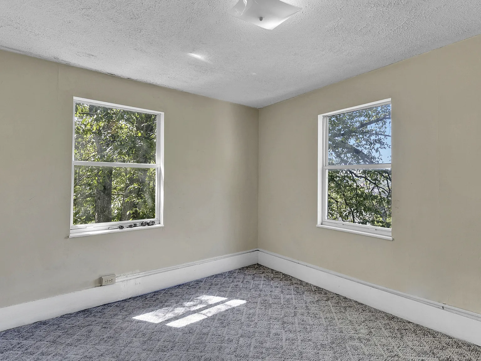352 Stewart Street - 1 — Photo 4