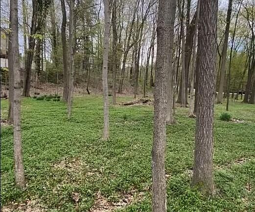 5th image of 2348 Spring Arbor