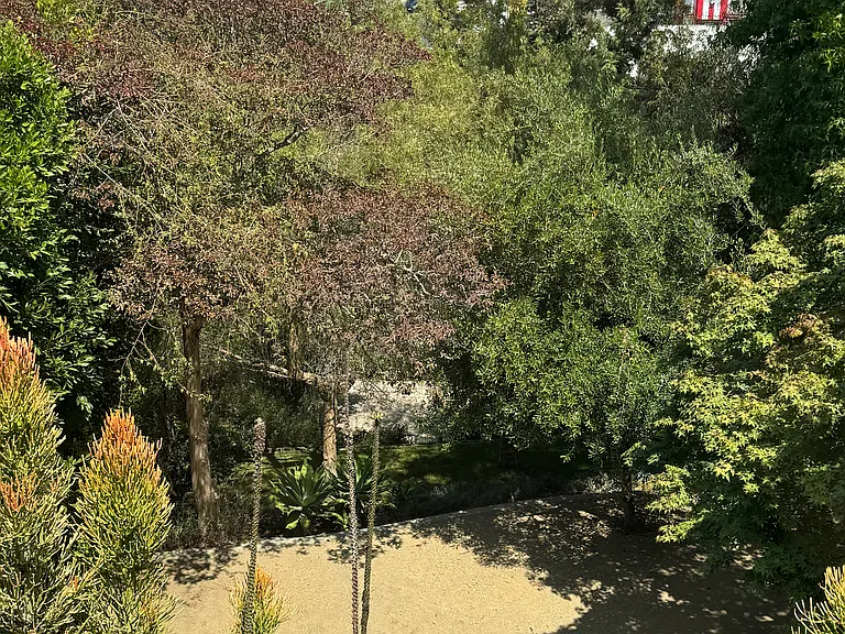 1222 S Orange Dr #1224 — Photo 15