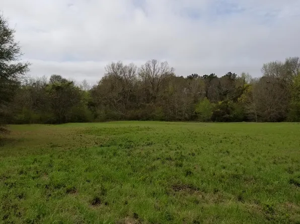 0 Suggs Rd, Headland, AL 36345