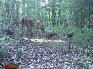 John Ingram Rd SE, Silver Creek, GA 30173