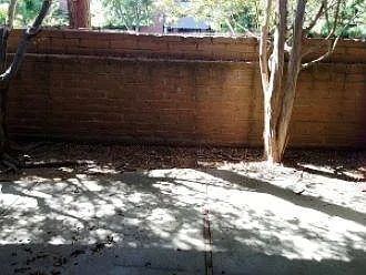 5055 N Del Mar Ave — Photo 13