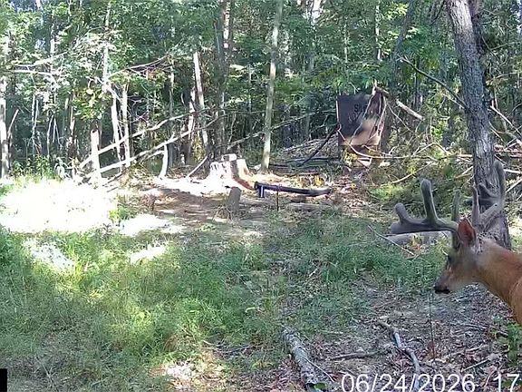 5th image of Hinkley Hollow Rd