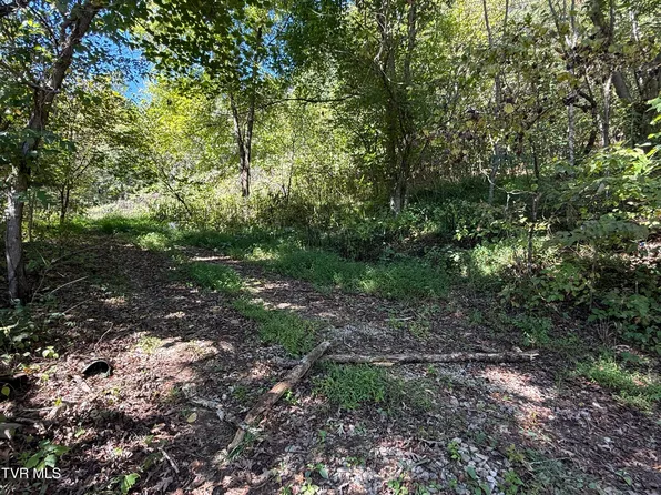 1128 Blue Springs Rd, Elizabethton, TN 37643