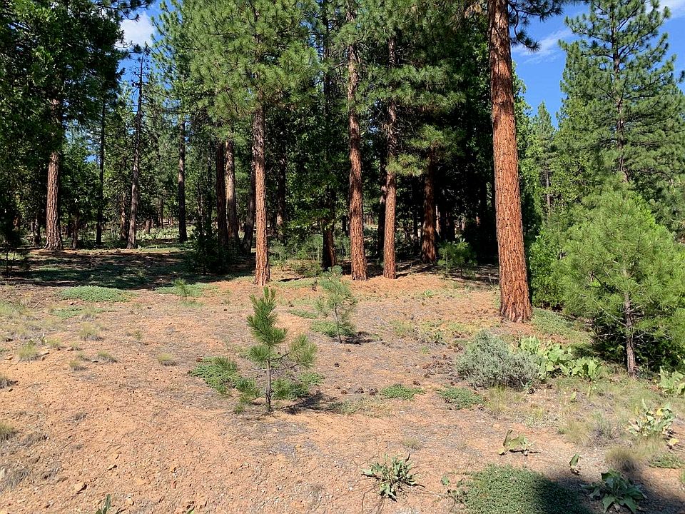 1st image of 678 Blacktail Rdg