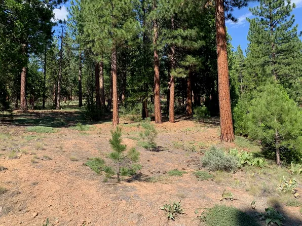 678 Blacktail Rdg, Portola, CA 96122