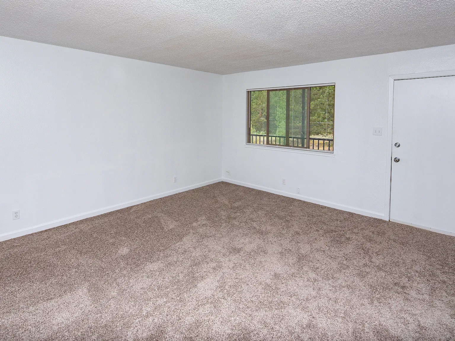 2 bed, 800 sqft, $1,995 — Photo 4