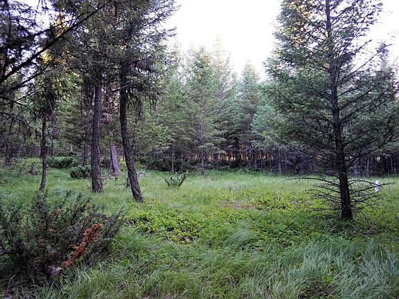 3rd image of 9 Glen Lake Dr