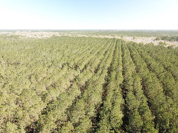 5th image of 0 Corrigan Rd