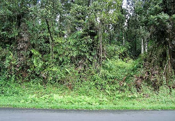 4th image of 13-3487 Moku St Lot 5